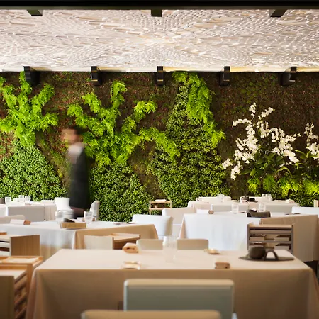 Отель Puente 5*